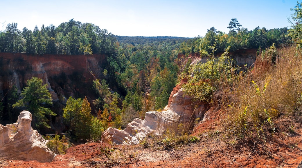 Little Grand Canyon in Lumpkin