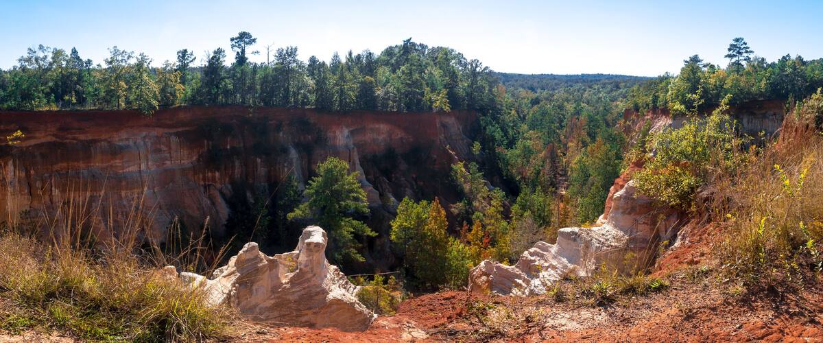 A canyon with red rock formations and a forested hill in the background.