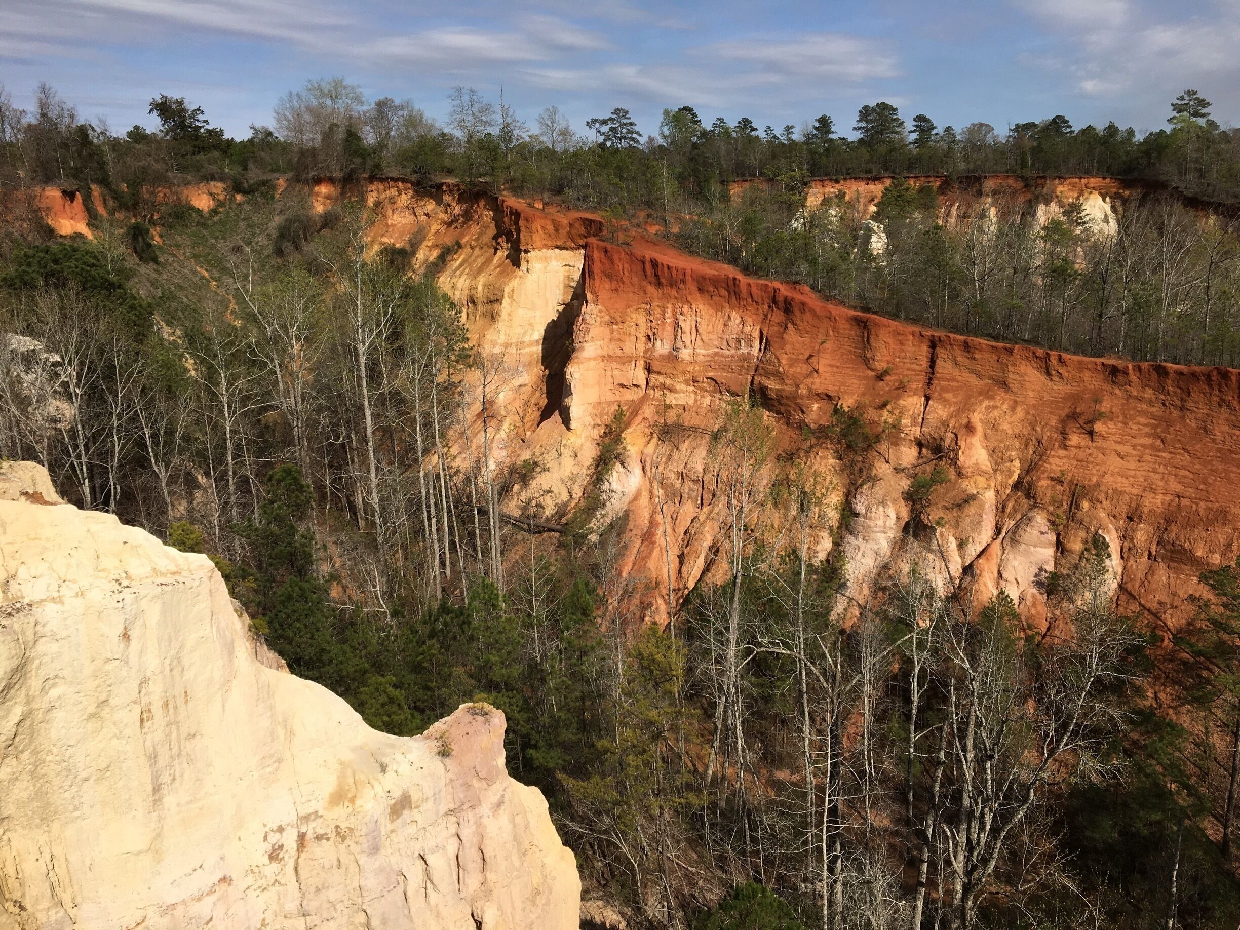 amazing colored sands and clays to be seen in Providence Canyon aka Georgia's Grand Canyon - easy walk on the white trail takes you around the base of canyon and up to the rim - can be wet and muddy in the bottom - good photo spots around the rim and picnic areas/restrooms and visitors center $5 parking fee #georgia #hike