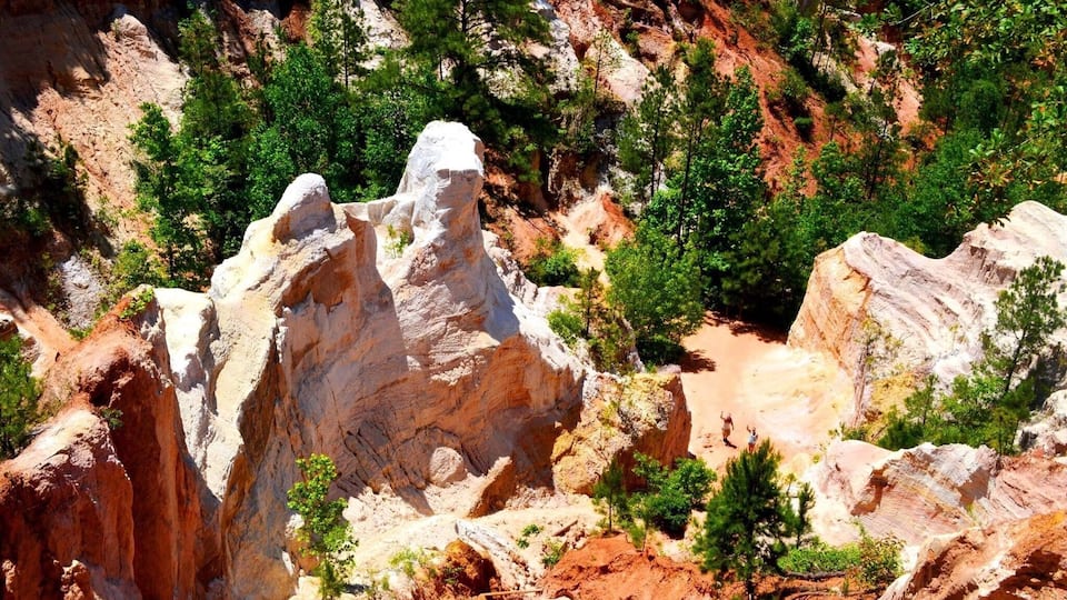 A rugged canyon with prominent white rock formations and scattered green trees.
