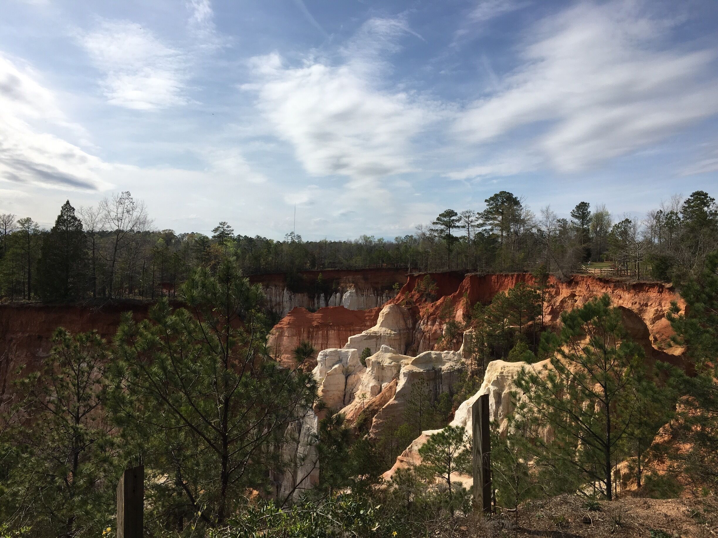 amazing colored sands and clays to be seen in Providence Canyon aka Georgia's Grand Canyon - easy walk on the white trail takes you around the base of canyon and up to the rim - can be wet and muddy in the bottom - good photo spots around the rim and picnic areas/restrooms and visitors center $5 parking fee #georgia #hike