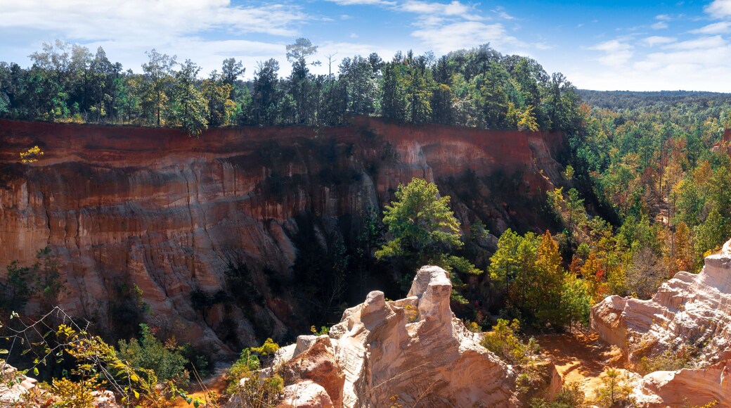 Little Grand Canyon in Lumpkin