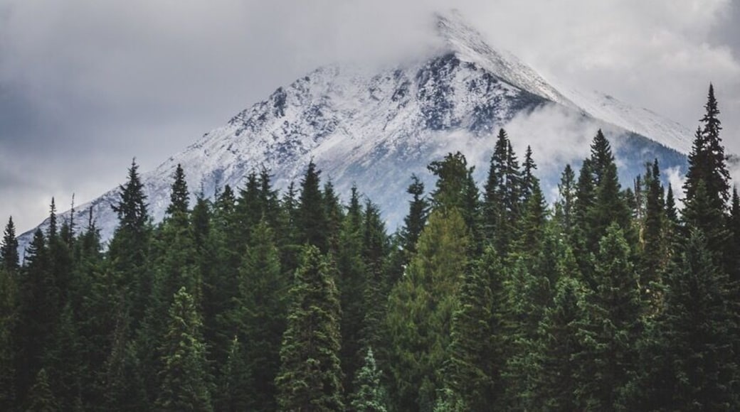 A mountain shrouded in moody clouds. Late fall in Northern BC can bring some pretty amazing weather!
#BvSMountains
#Mountains
#canada
#britishcolumbia
#northernbc