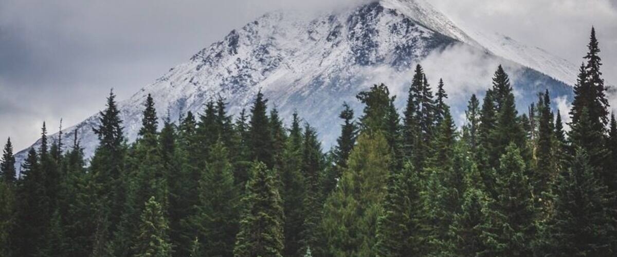 A snow-capped mountain with a forested foreground.