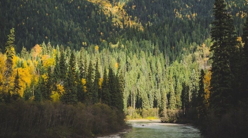 Beautiful fall colours along a forest service road in Northern BC.
One of my favourite spots in BC.
#BvSMountains
#Mountains
#canada
#britishcolumbia
#northernbc
#theoutbound
