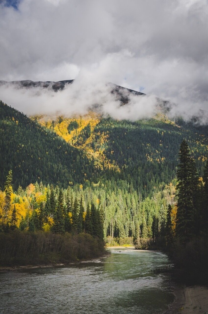 Beautiful fall colours along a forest service road in Northern BC.
One of my favourite spots in BC.
#BvSMountains
#Mountains
#canada
#britishcolumbia
#northernbc
#theoutbound