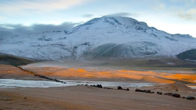Montanha nevada, rio e margem rochosa.