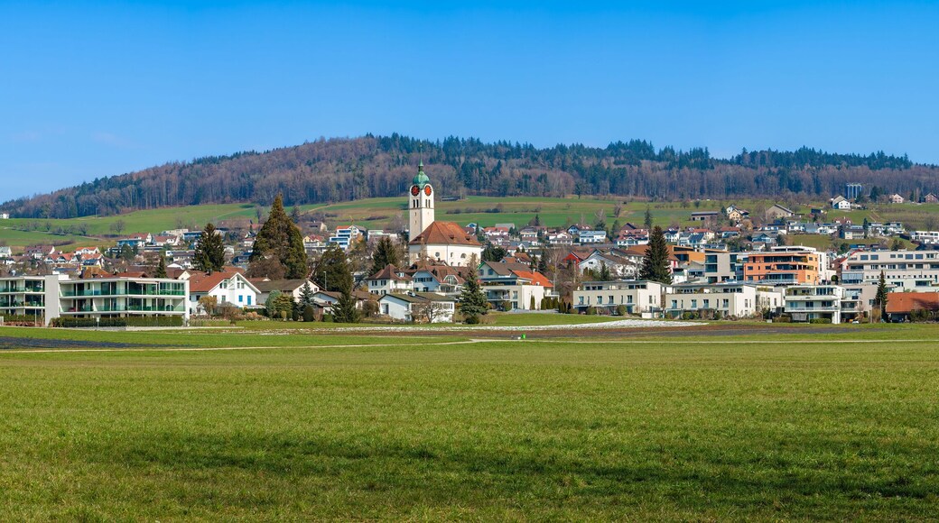 Seengen, Switzerland - February 23, 2023: Seengen is a municipality in the Swiss canton of Aargau. It is located in the Seetal at the northern end of Lake Hallwil.