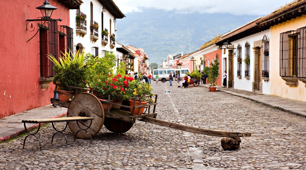 Wheelbarrow of Antigua