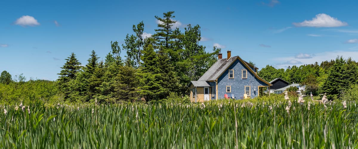 A blue house surrounded by tall grass and trees.