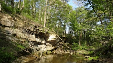 A view down the gorge of the Hocking river after it passes by the grist mill.
Rock Mill Park encompasses the historic Rock Mill, a stunning grist mill built in 1824 above the Hocking River Falls and the scenic Rock Mill Covered Bridge, constructed in 1901.
Standing 90 feet above the gorge of the falls, Rock Mill was one of a dozen mills in the area whose power source was the Hocking River. The mill was in operation grinding flour and corn into wheat and meal as late at 1905.