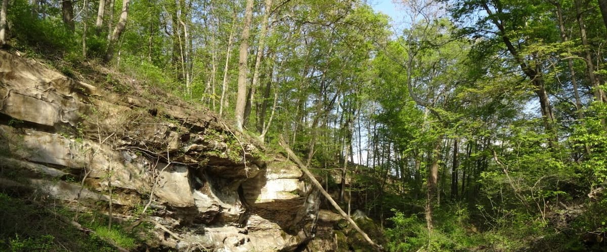 A rocky riverbank with clear water, surrounded by dense forest.