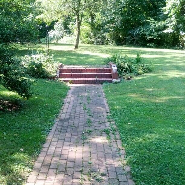 The remnants of the front porch of the homestead of Dr. Edward E. Campbell built in 1936 located within the confines of Chestnut Ridge Metro Park.