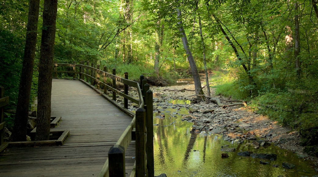 Rock Bridge Memorial State Park showing a river or creek and forests