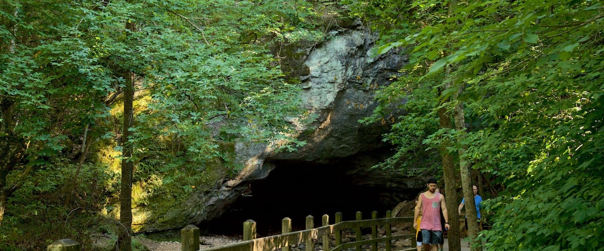 Rock Bridge Memorial State Park showing forest scenes and caves as well as a small group of people