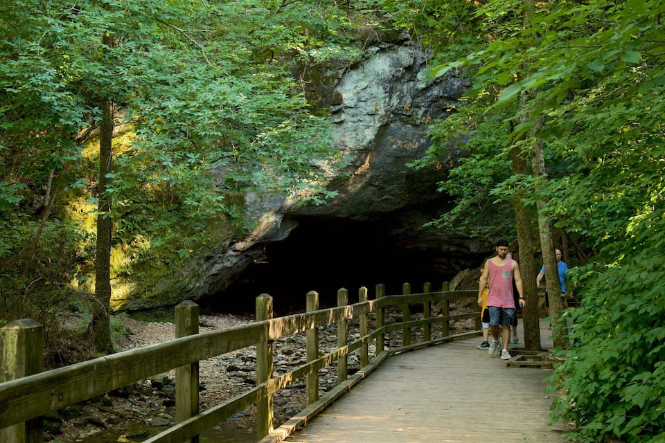 A wooden boardwalk leading to a cave entrance surrounded by dense green foliage.