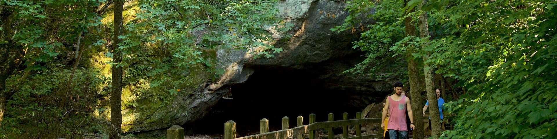 Rock Bridge Memorial State Park que inclui cavernas e cenas de floresta assim como um pequeno grupo de pessoas