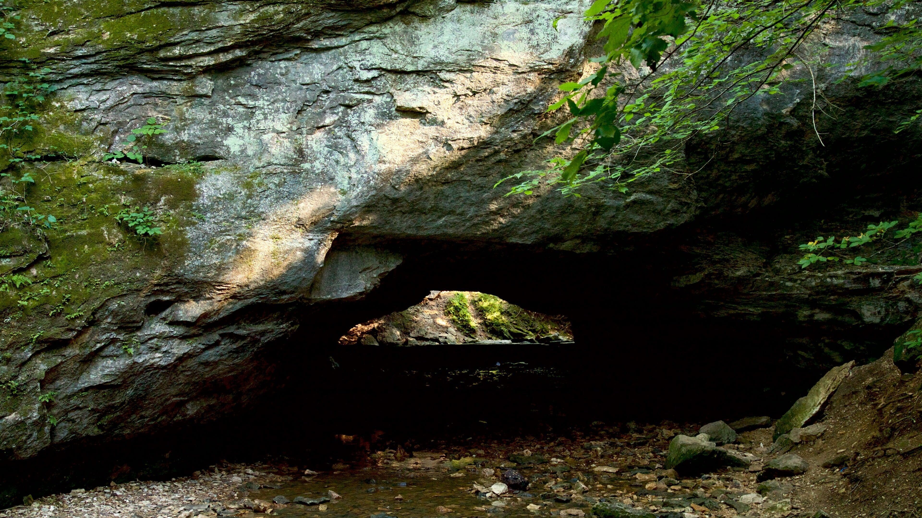 L’entrée d’une grotte rocheuse, dont les parois sont recouvertes de mousse et de petites plantes.