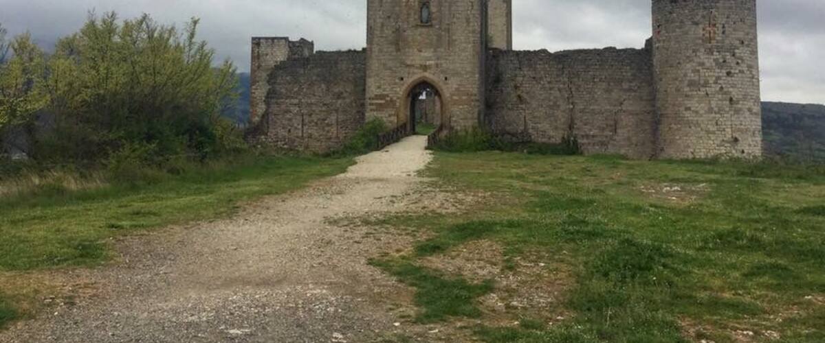 A medieval castle with a central tower and two round towers, surrounded by grassy fields and a cloudy sky.