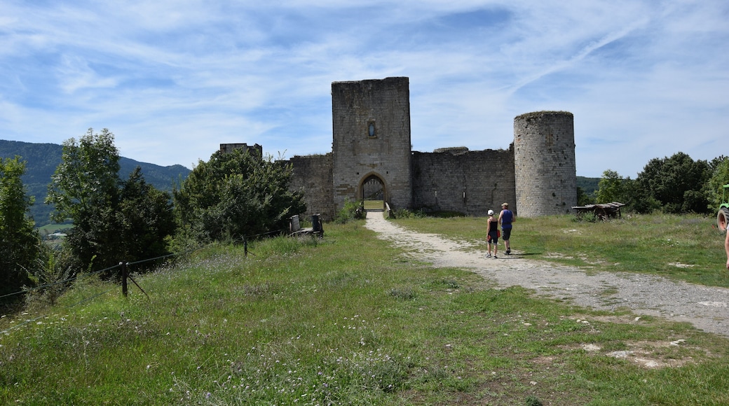 This building is indexed in the Base Mérimée, a database of architectural heritage maintained by the French Ministry of Culture, under the reference PA00102872 .