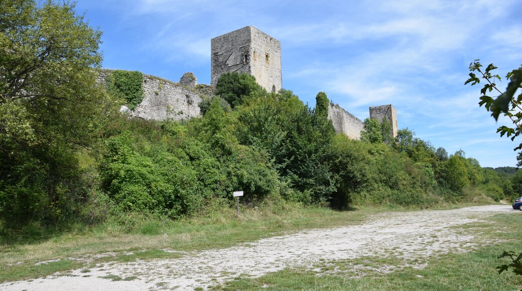 This building is indexed in the Base Mérimée, a database of architectural heritage maintained by the French Ministry of Culture, under the reference PA00102872 .