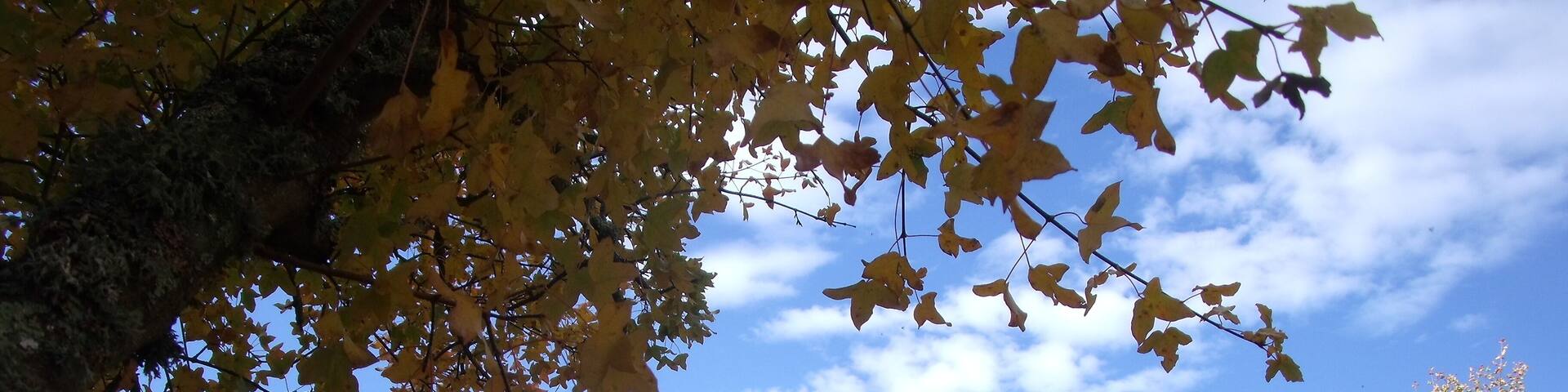 This building is classé au titre des Monuments Historiques. It is indexed in the Base Mérimée, a database of architectural heritage maintained by the French Ministry of Culture, under the reference PA00102907 .