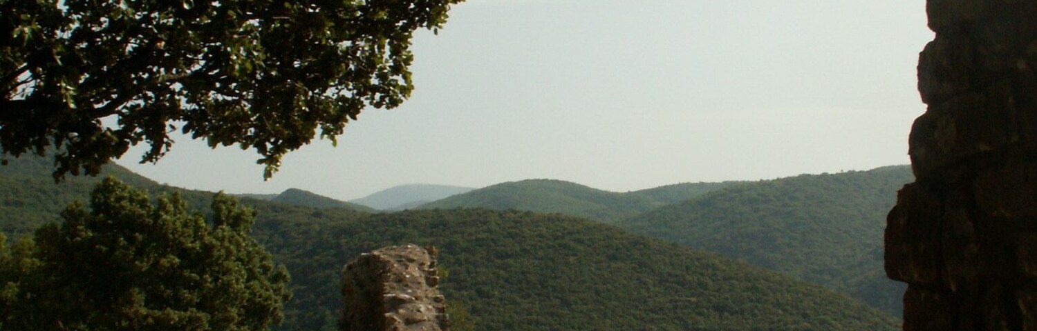 This building is indexed in the Base Mérimée, a database of architectural heritage maintained by the French Ministry of Culture, under the reference PA00102907 .