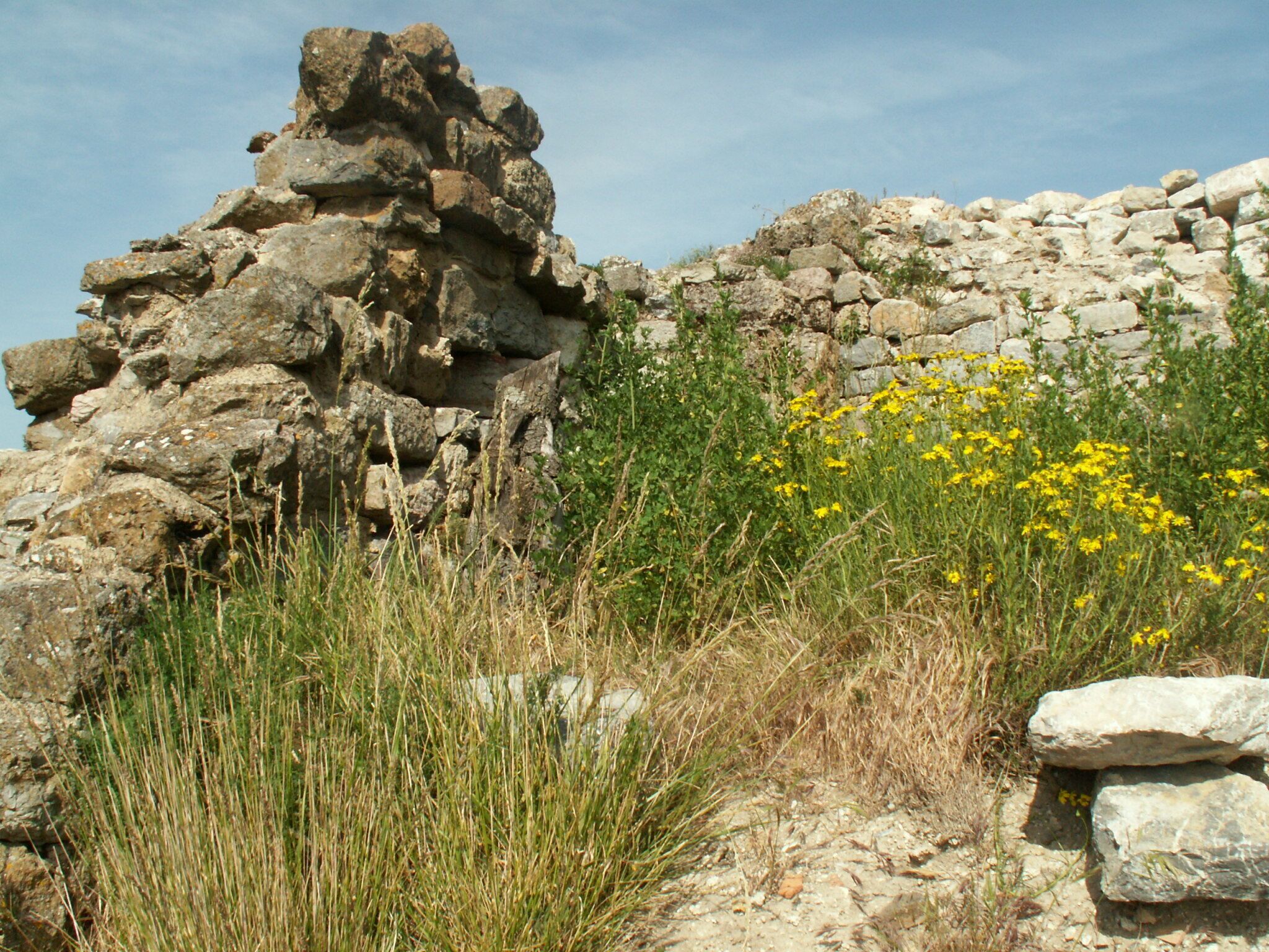 This building is indexed in the Base Mérimée, a database of architectural heritage maintained by the French Ministry of Culture, under the reference PA00102907 .