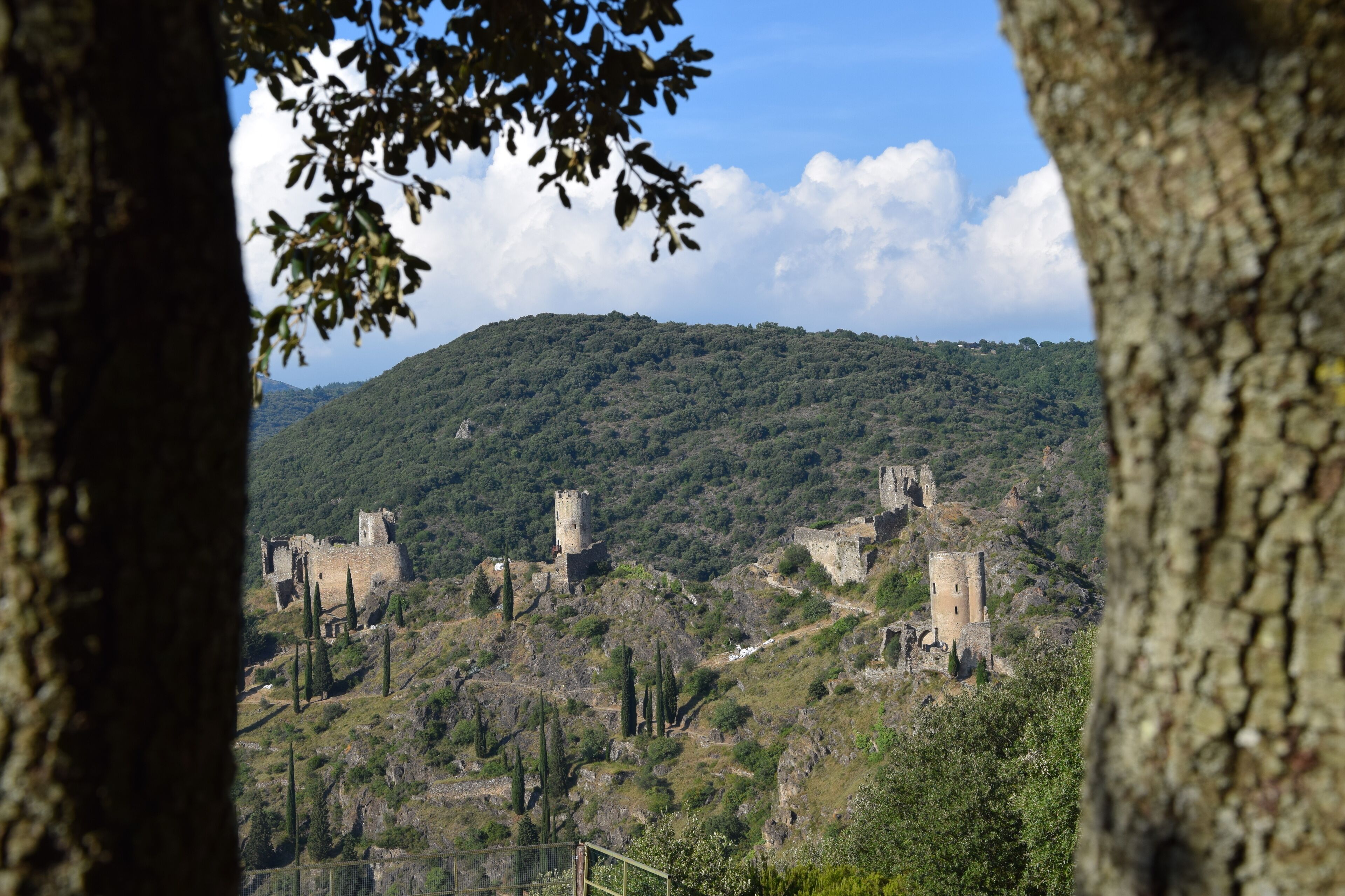 This building is indexed in the Base Mérimée, a database of architectural heritage maintained by the French Ministry of Culture, under the reference PA00102727 .