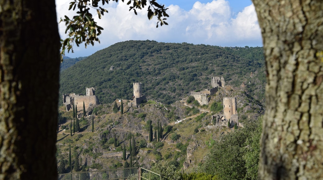 This building is indexed in the Base Mérimée, a database of architectural heritage maintained by the French Ministry of Culture, under the reference PA00102727 .