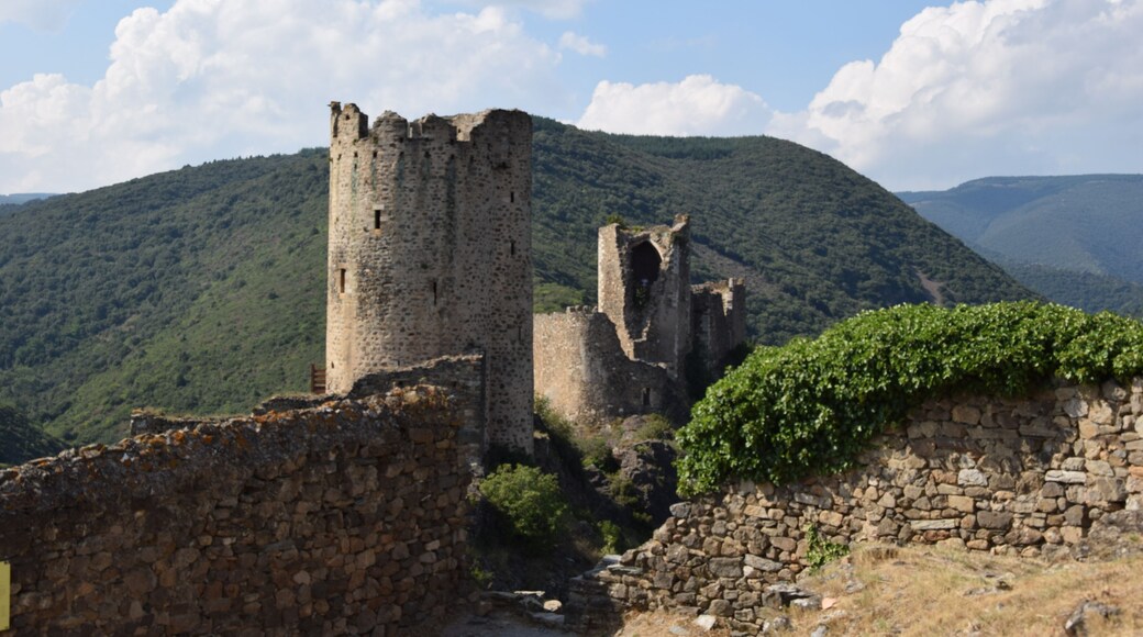 This building is indexed in the Base Mérimée, a database of architectural heritage maintained by the French Ministry of Culture, under the reference PA00102727 .