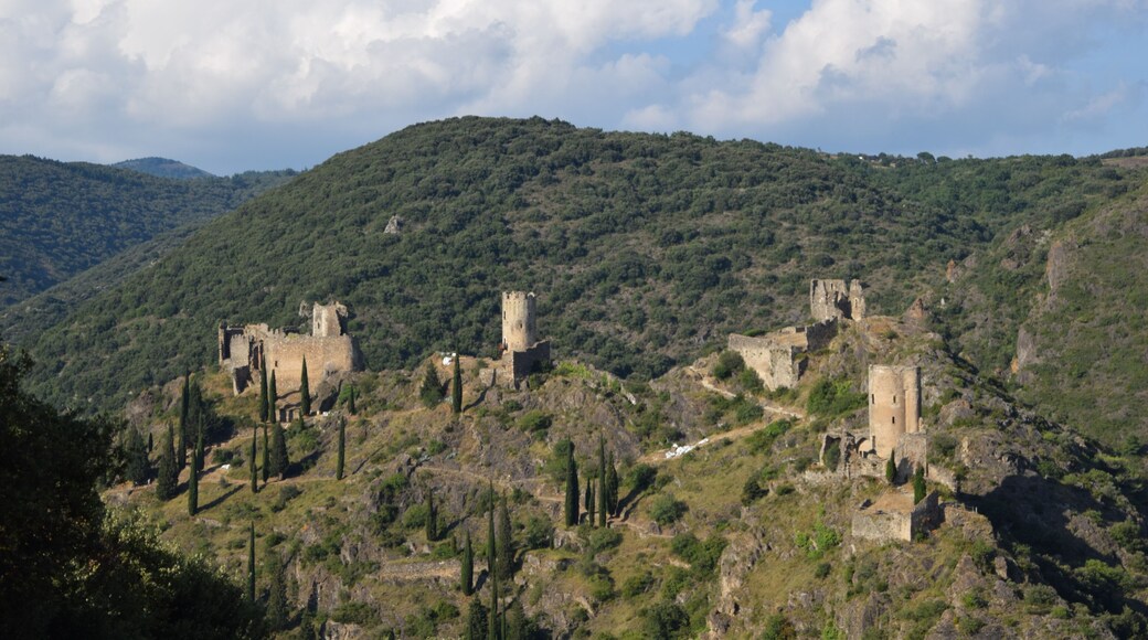 This building is indexed in the Base Mérimée, a database of architectural heritage maintained by the French Ministry of Culture, under the reference PA00102727 .