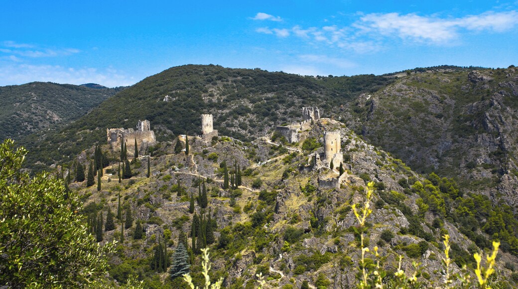 Châteaux de Lastours, les quatre châteaux