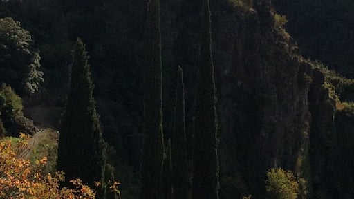 Lastours. South of France. A collection of four ancient Cathar Fortresses. Simply stunning castles and magnificent views. Everyone should try to visit at least one Cathar castle in their life. #instone
