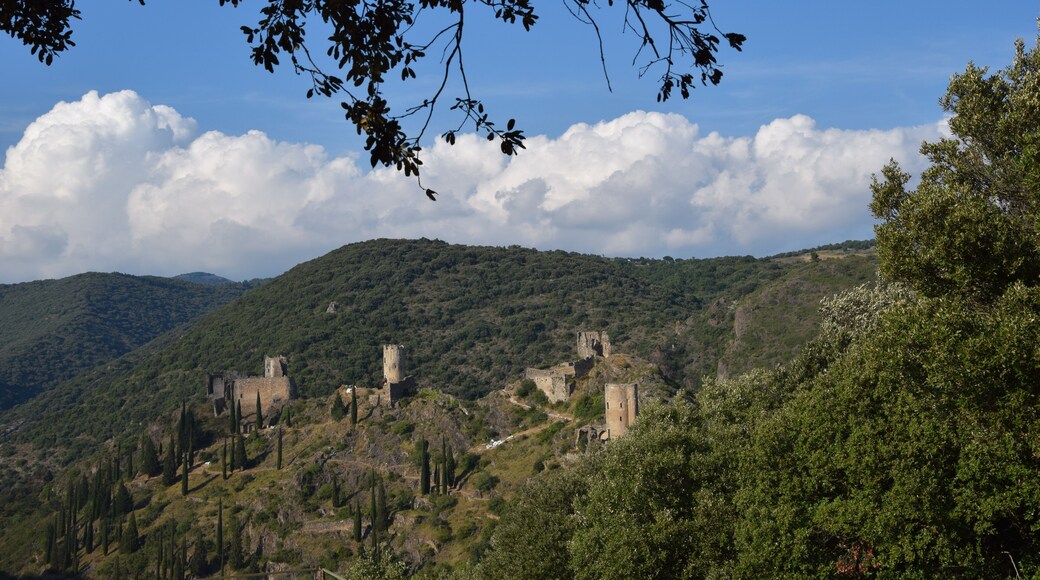 This building is indexed in the Base Mérimée, a database of architectural heritage maintained by the French Ministry of Culture, under the reference PA00102727 .