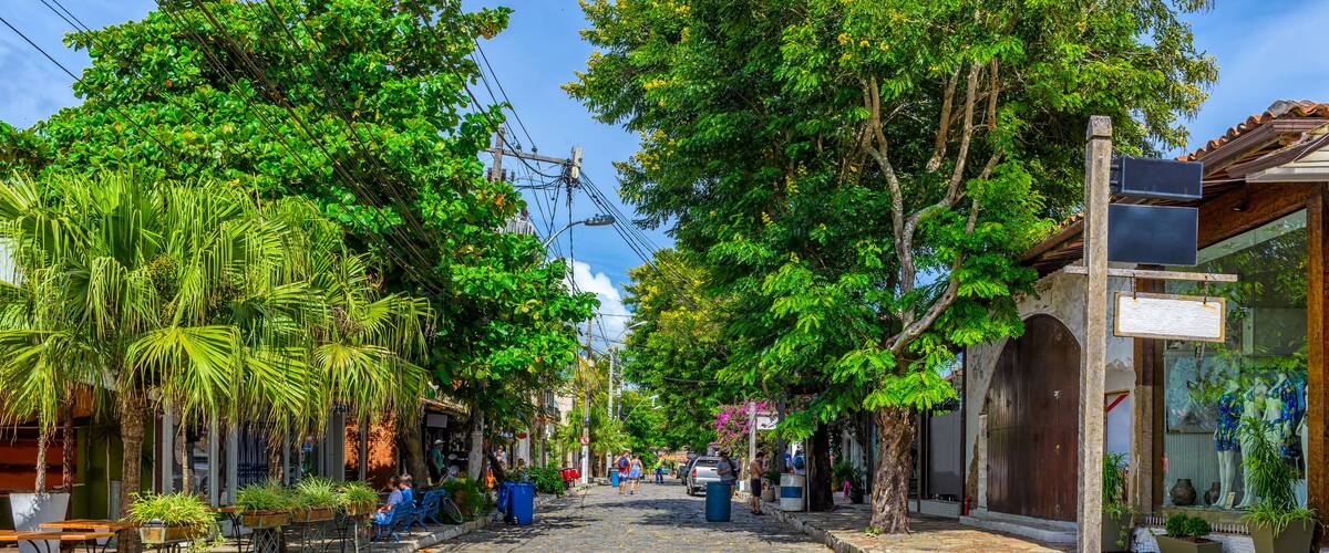 A cobblestone street lined with trees and benches.