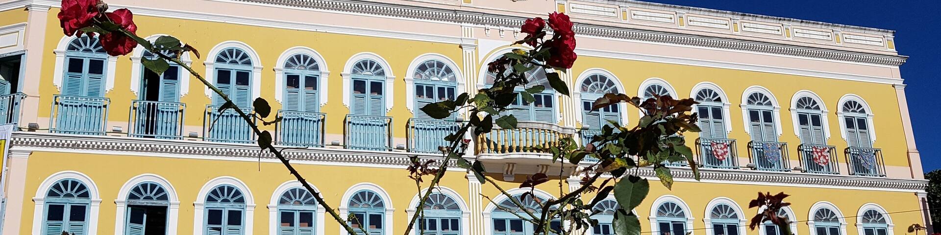 Roseiras e a fachada de uma construção antiga ao fundo