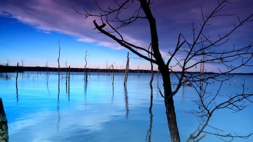 #riverphotochallenge