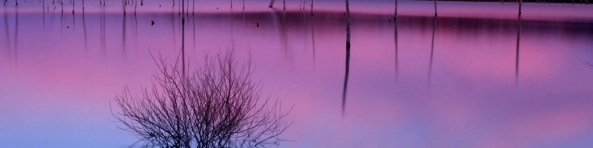 1st shot from my manasquan reservoir hike and shoot yesterday. This place at sunset is absolutely amazing
