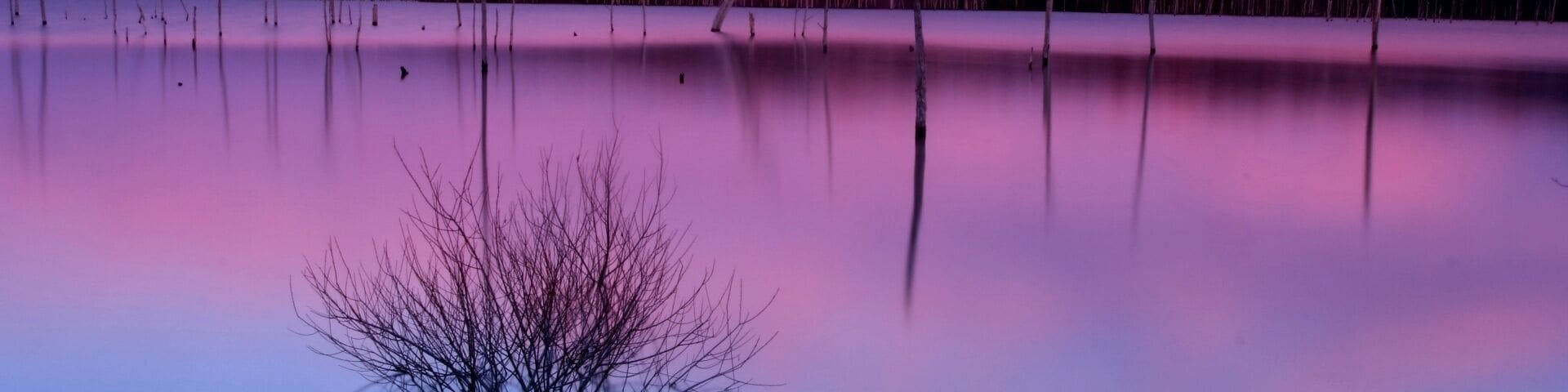 1st shot from my manasquan reservoir hike and shoot yesterday. This place at sunset is absolutely amazing
