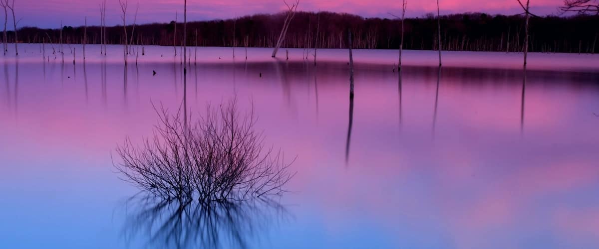 1st shot from my manasquan reservoir hike and shoot yesterday. This place at sunset is absolutely amazing