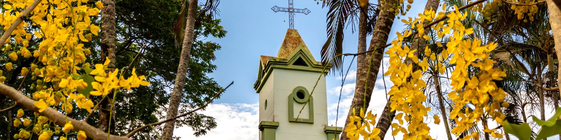 Marilia, Sao Paulo, Brazil. November 20, 2024. Santa Isabel Church, with flowering imperial cassia or yellow acacia trees. Amadeu Amaral District