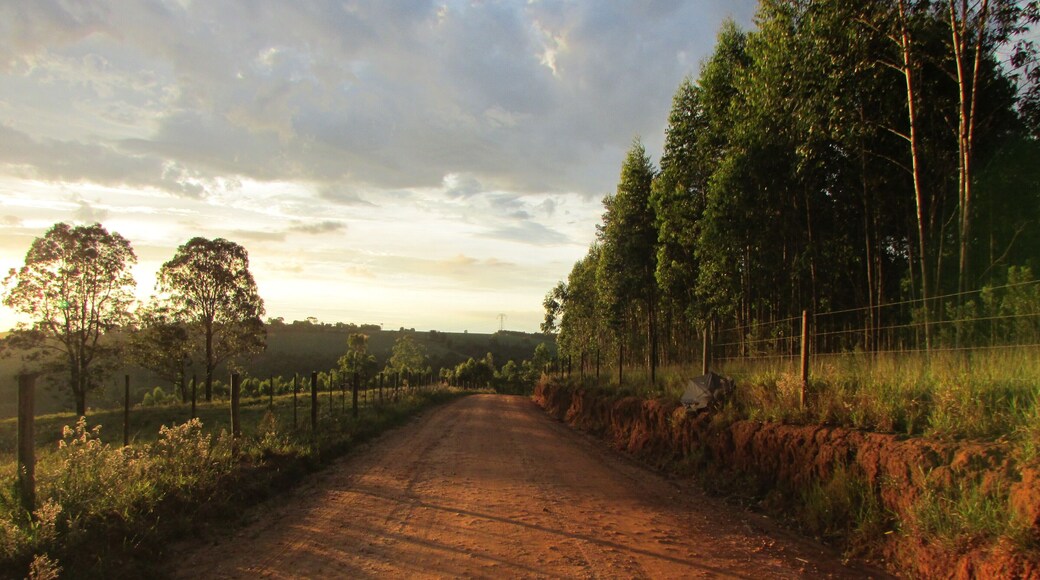 PAISAGENS DO MEU MUNICÍPIO