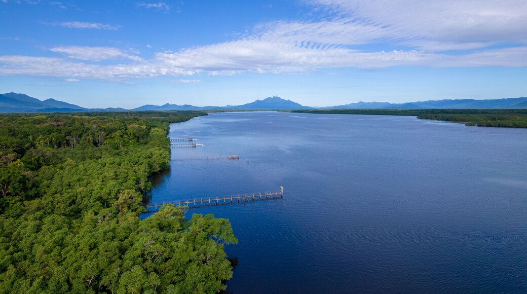 Aerial view of the city of Cananéia. Mangrove and sea at Ilha do Cardoso state park