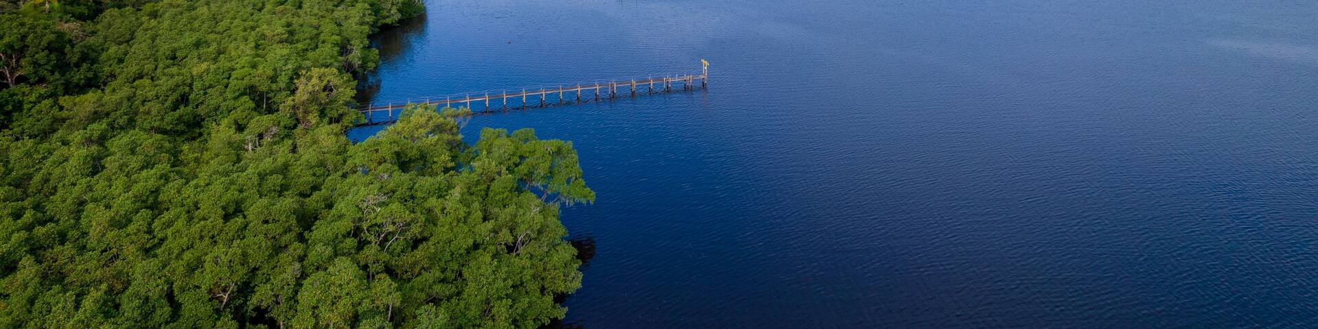 Aerial view of the city of Cananéia. Mangrove and sea at Ilha do Cardoso state park