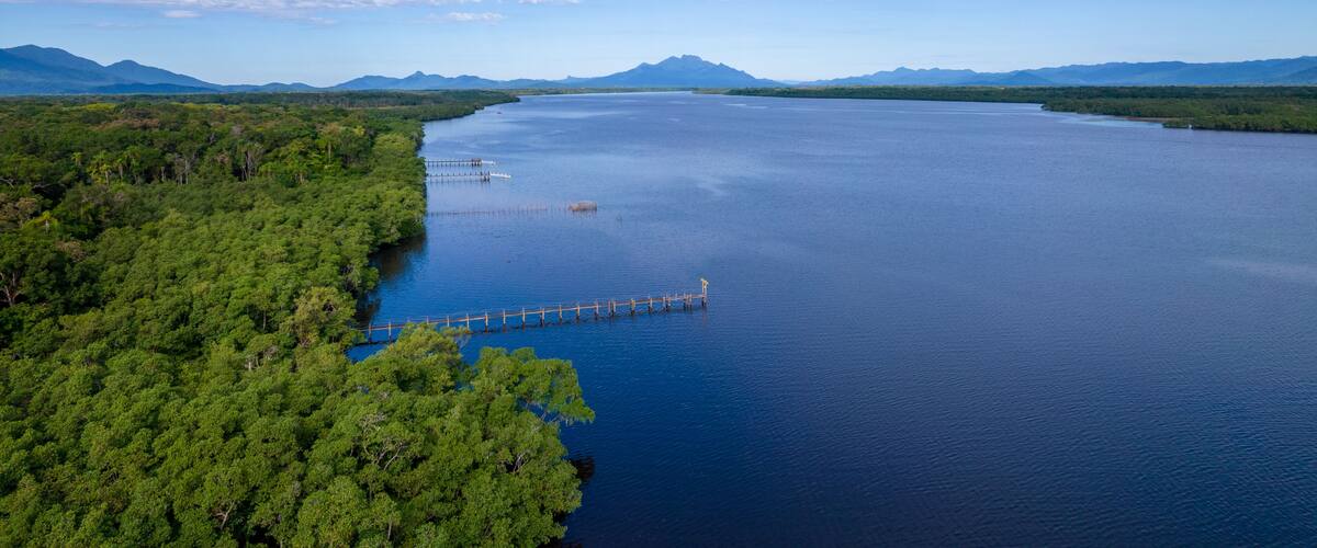 A large body of water surrounded by dense green forest and distant mountains.