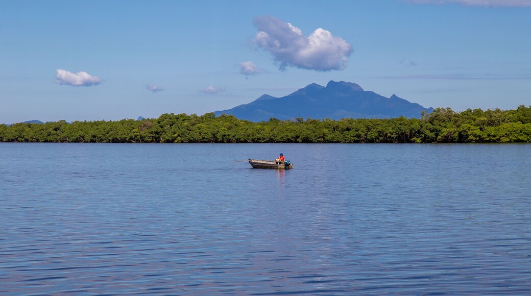 Aerial view of the city of Cananéia. Mangrove and sea in Ilha do Cardoso State Park. With man fishing in a boat