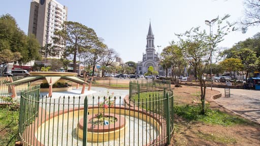 Praca Barao do Rio Branco and Sao Joao Batista Church in Bebedouro, Sao Paulo, Brazil