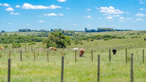 paisagem rio grande do sul