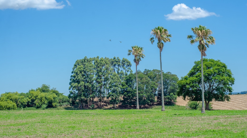 paisagem rio grande do sul